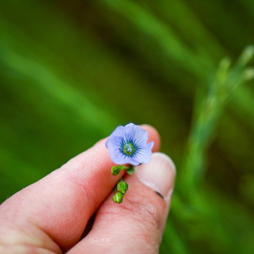 Nadège PETIT 👩‍🌾 tweet media