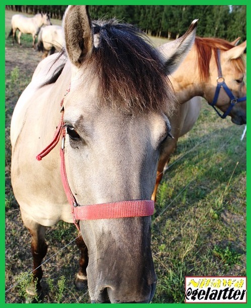 La información nos pone frente a muchas otras preguntas que pueden llegar a darnos una sensación de vértigo.