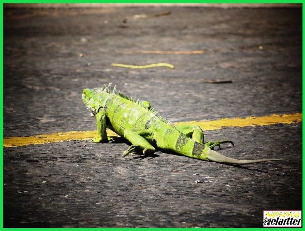 Conocer a los demás es sabiduría; conocerse a uno mismo es iluminación.