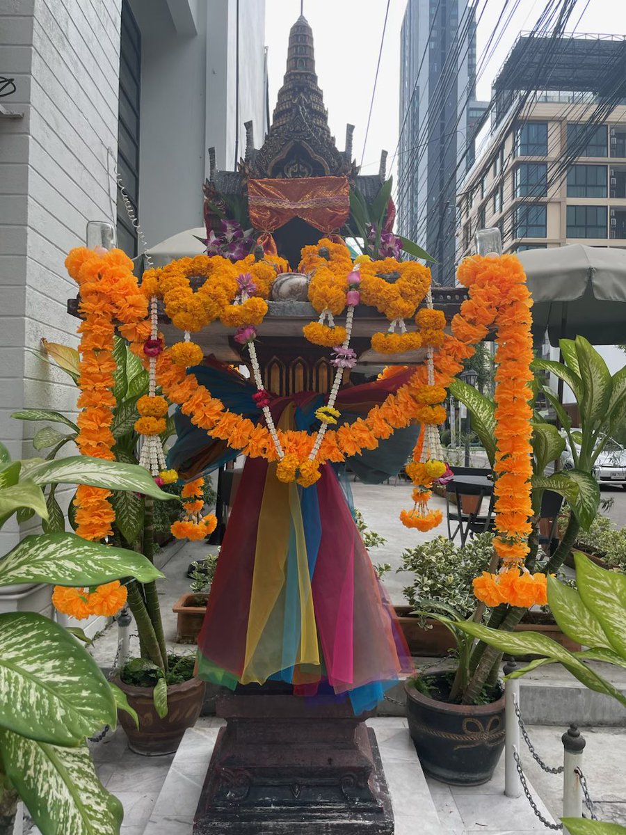 Alexandra Steele tweet media