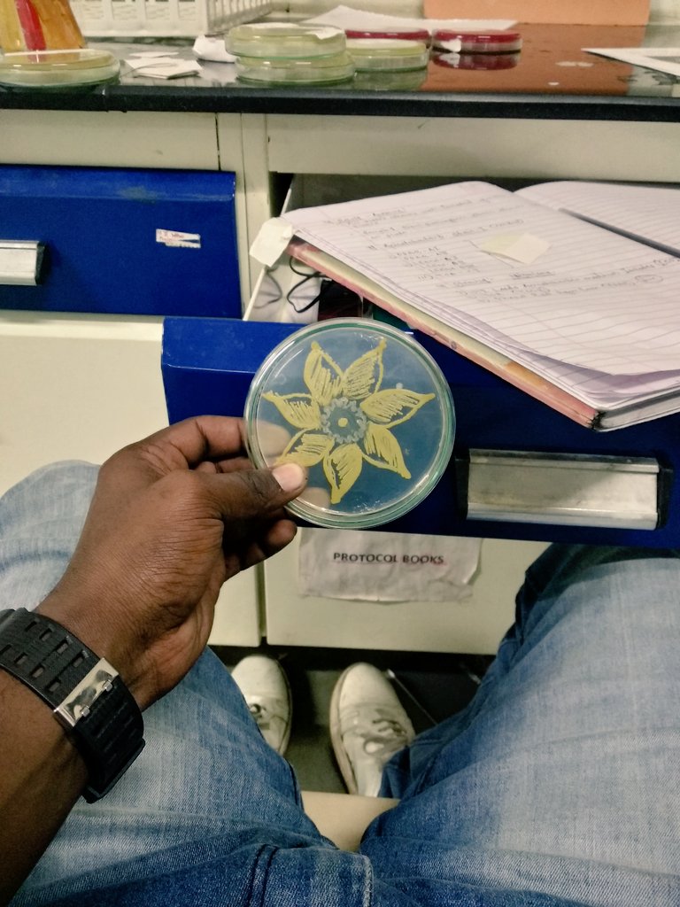 Avinash784's tweet photo. 'The most traumatized are the ones who shape our culture like a microbiologist shapes clay on their lunch break after looking at too many cultures'
#labdiaries
#microbiology
#art https://t.co/dlHK3EJ4y4