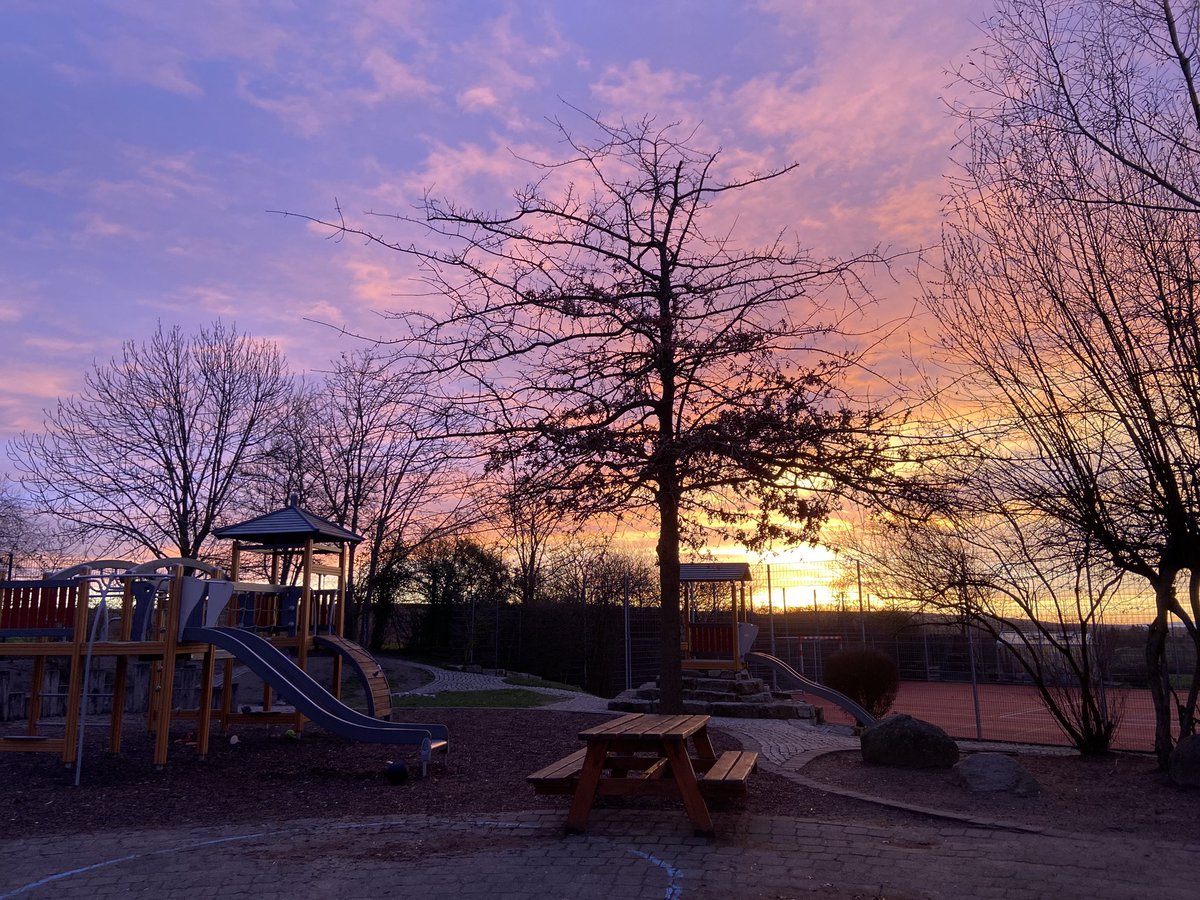 Gioia Morasch tweet media