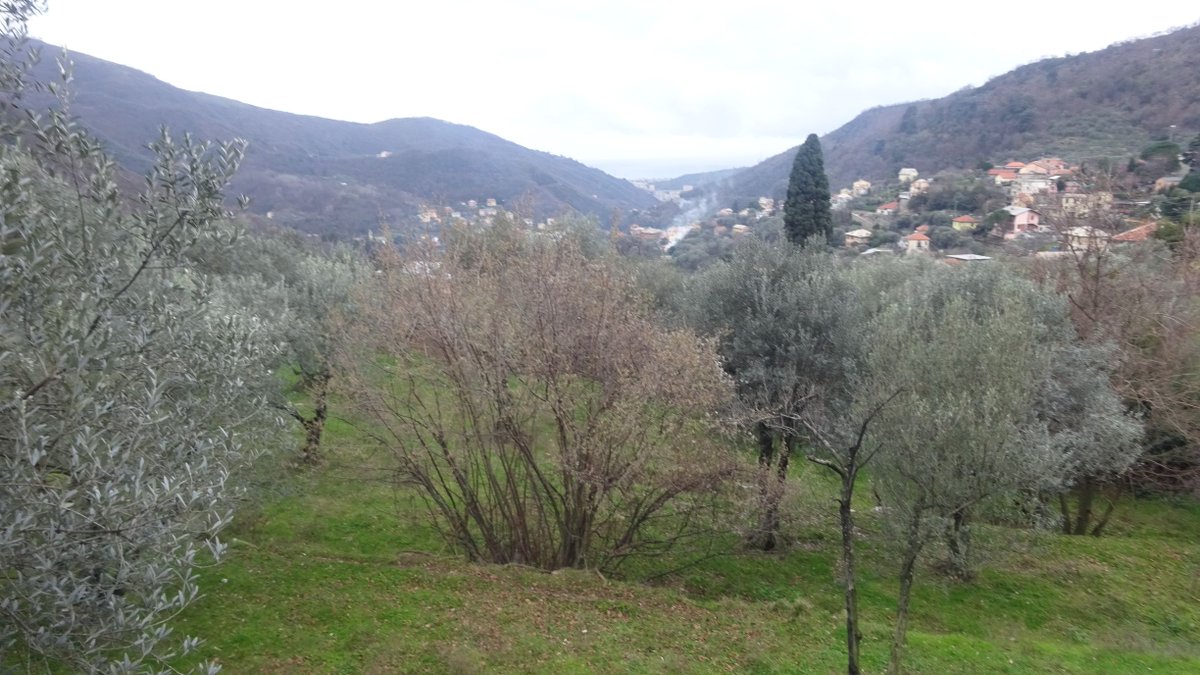 escligure's tweet photo. Pubblicate le foto dell'escursione da Bavari a Priaruggia, che si è svolta domenica 15 gennaio.
Link https://t.co/2QmCWyPYQ4
#cailigure #clubalpinoitaliano #fotografie #genova #lamialiguria #genovaeventi #montagna #sentieri #bavari #escursionismo #appenninoligure https://t.co/AIKBxVNBS3