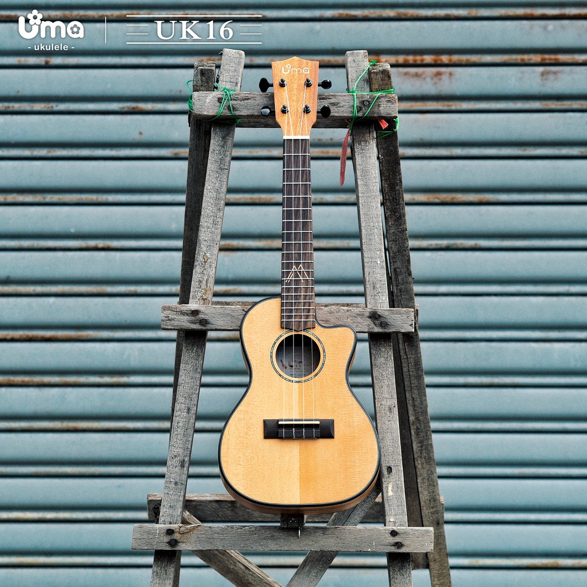 Uma UK16SC Solid Top ukulele ❤️
#umaukulele #ukulele #uke #uku #uma 

umaukulele.com