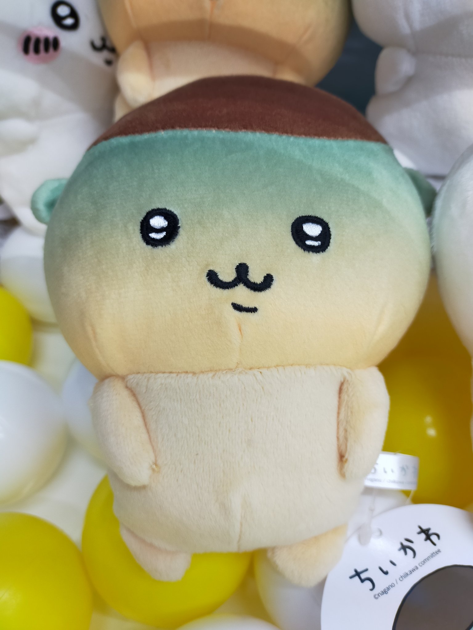 アミュージアム小松店 on X: 