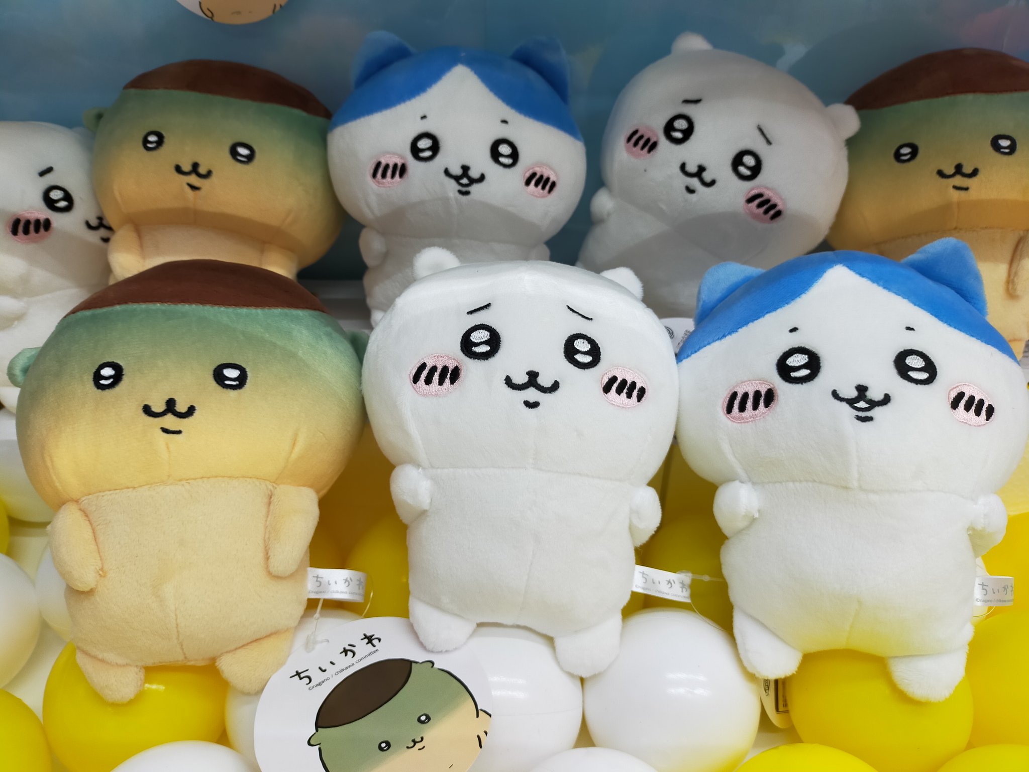 アミュージアム小松店 on X: 