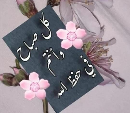 @ASGOUN1 آمين يارب وإياكم
صباحك مشرق فرح🌸🦋🌸