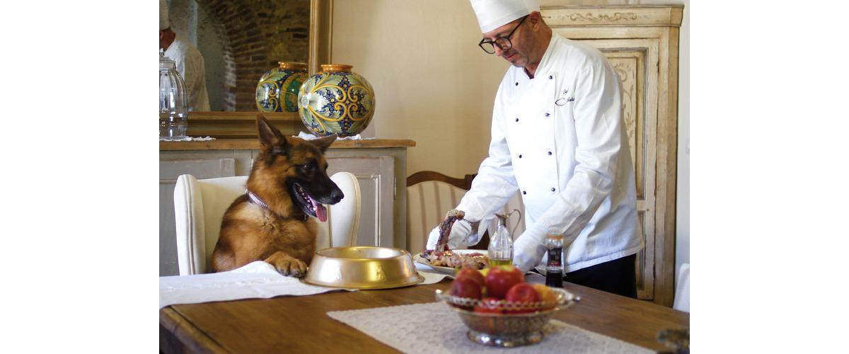 Luxurylaunches tweet media