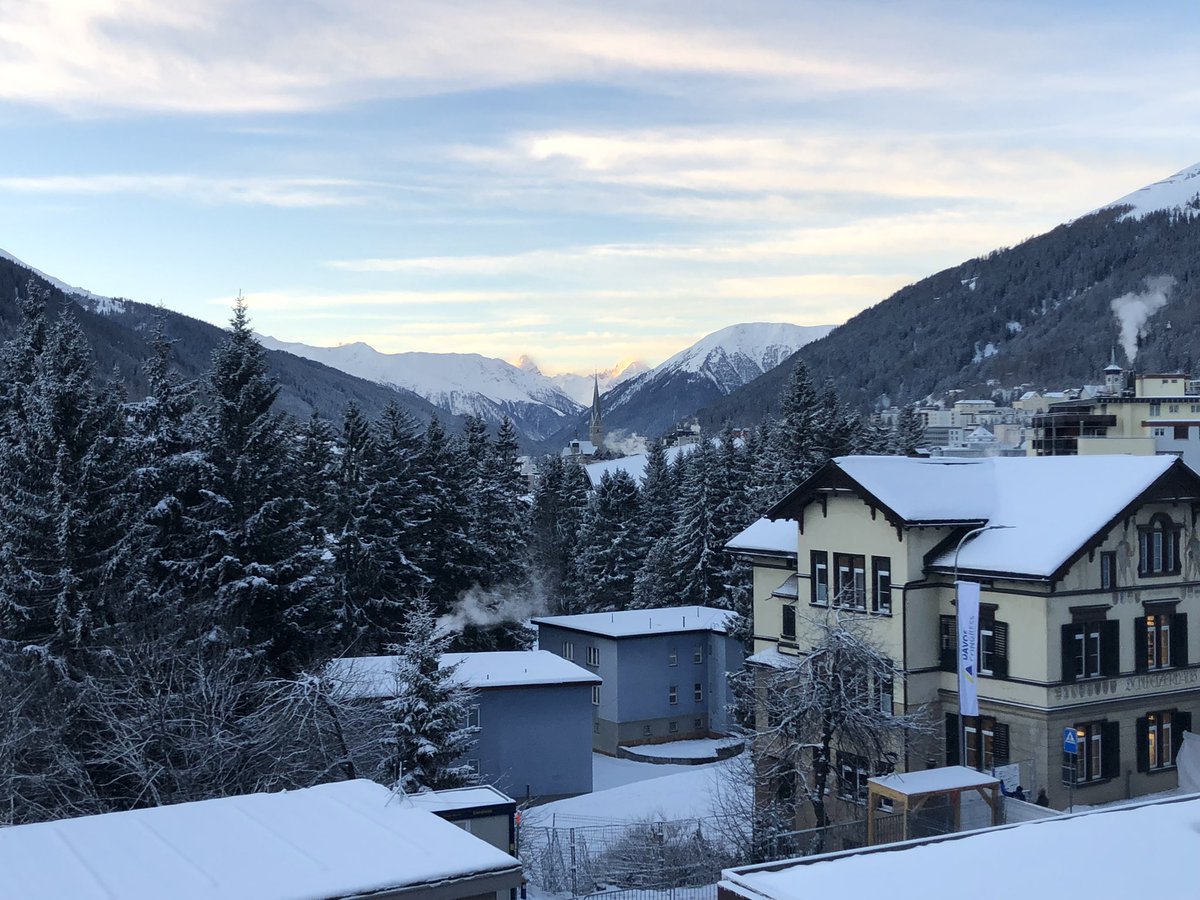 Suzanne Lynch tweet media