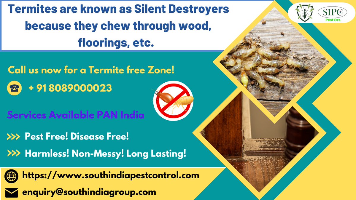 sipcpestcontrol's tweet photo. Termites are known as Silent Destroyers because they chew through wood, floorings, etc. https://t.co/k7IK0rq2SY, 8089000023 #termites #termitecontrol #termiteprevention #termitespecialist #termitecontrolservice #pest #pestcontrol #termitecontrolindia #posttermitecontrol https://t.co/kMTcmztXiP