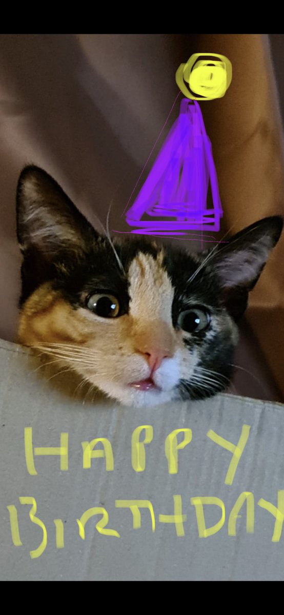 🍹FoxySnob🍹 tweet media