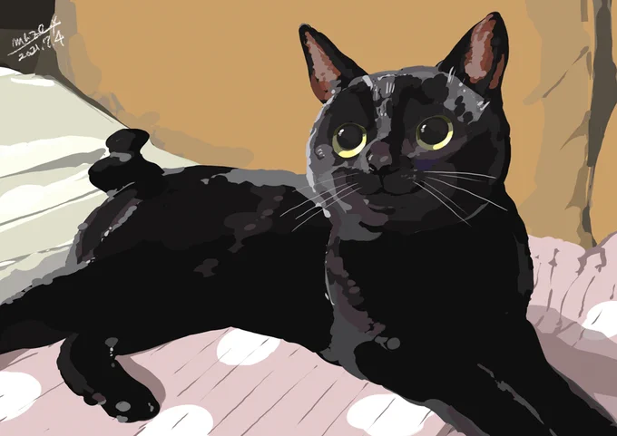 かきあげキャッツを描く者です。 