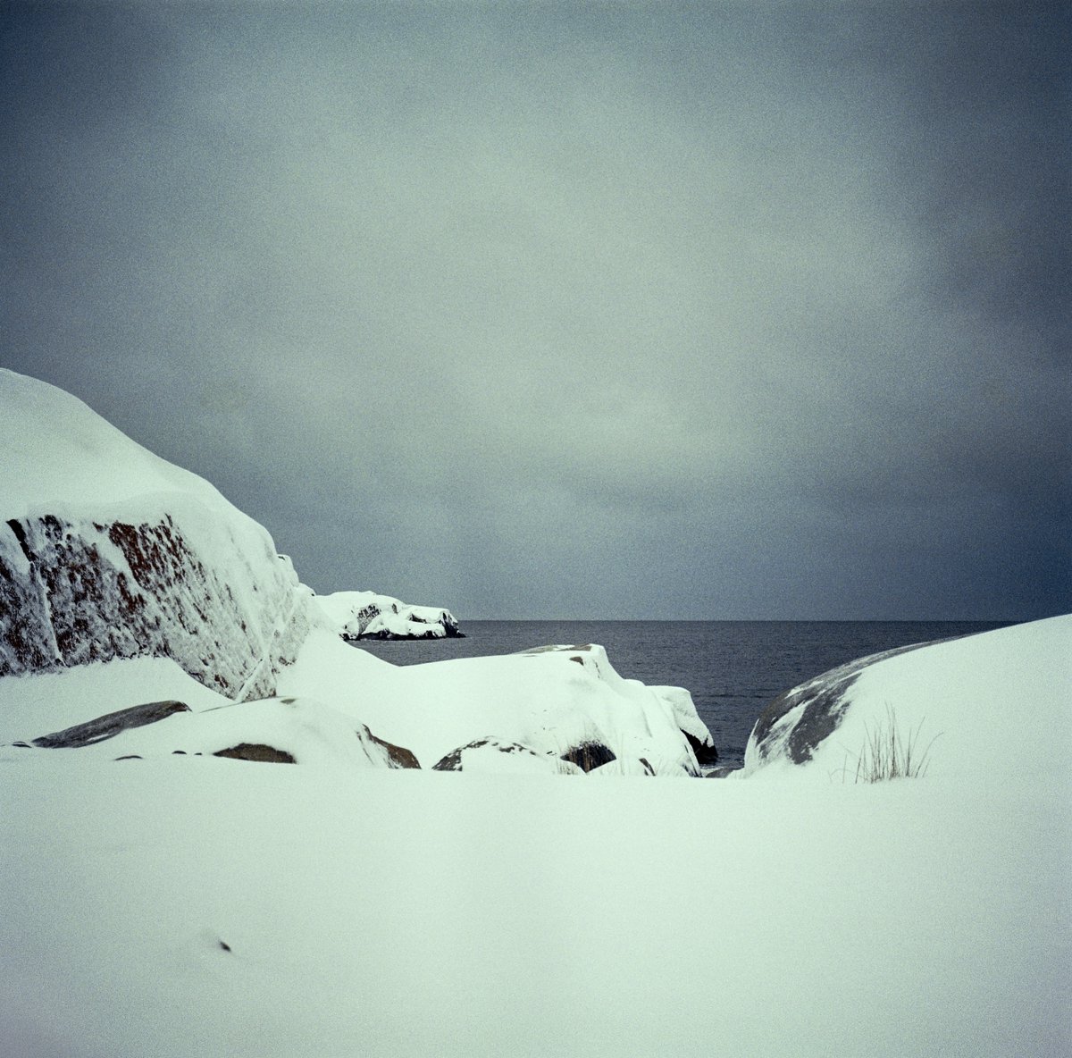 simon_diamond's tweet photo. Stepping up my 90's game with the mighty Mamiya 6! A few hours after this, we were hit with the largest snowfall in years for 48 hours straight. Those clouds weren't kidding😬
Mamiya 6 MF
75mm F3.5
Kodak Gold 200
FFP C-41 kit
#believeinfilm #1990sCameraChallenge @ShittyChallenge https://t.co/ltAm8c2TA2