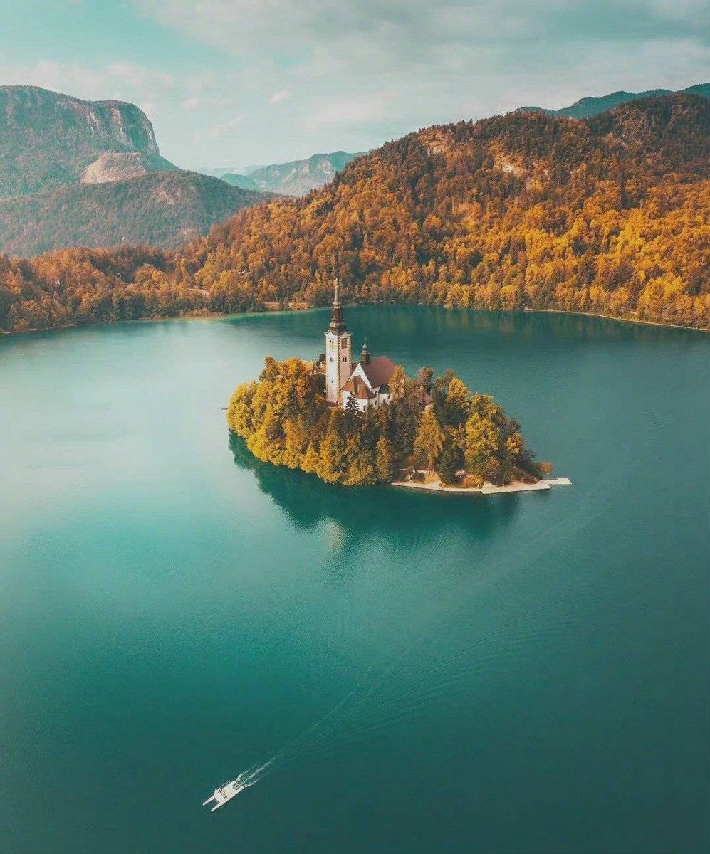 ViVi Tong tweet media