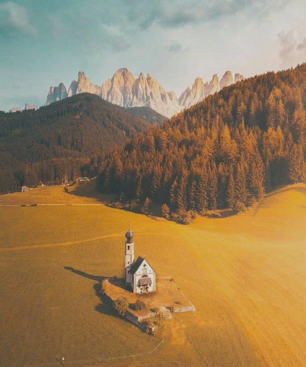 ViVi Tong tweet media