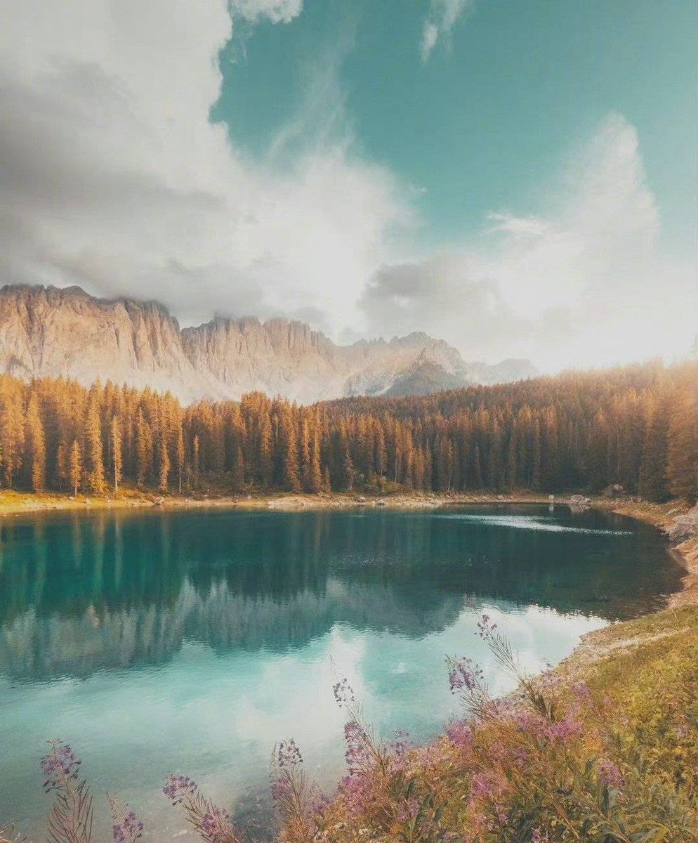 ViVi Tong tweet media