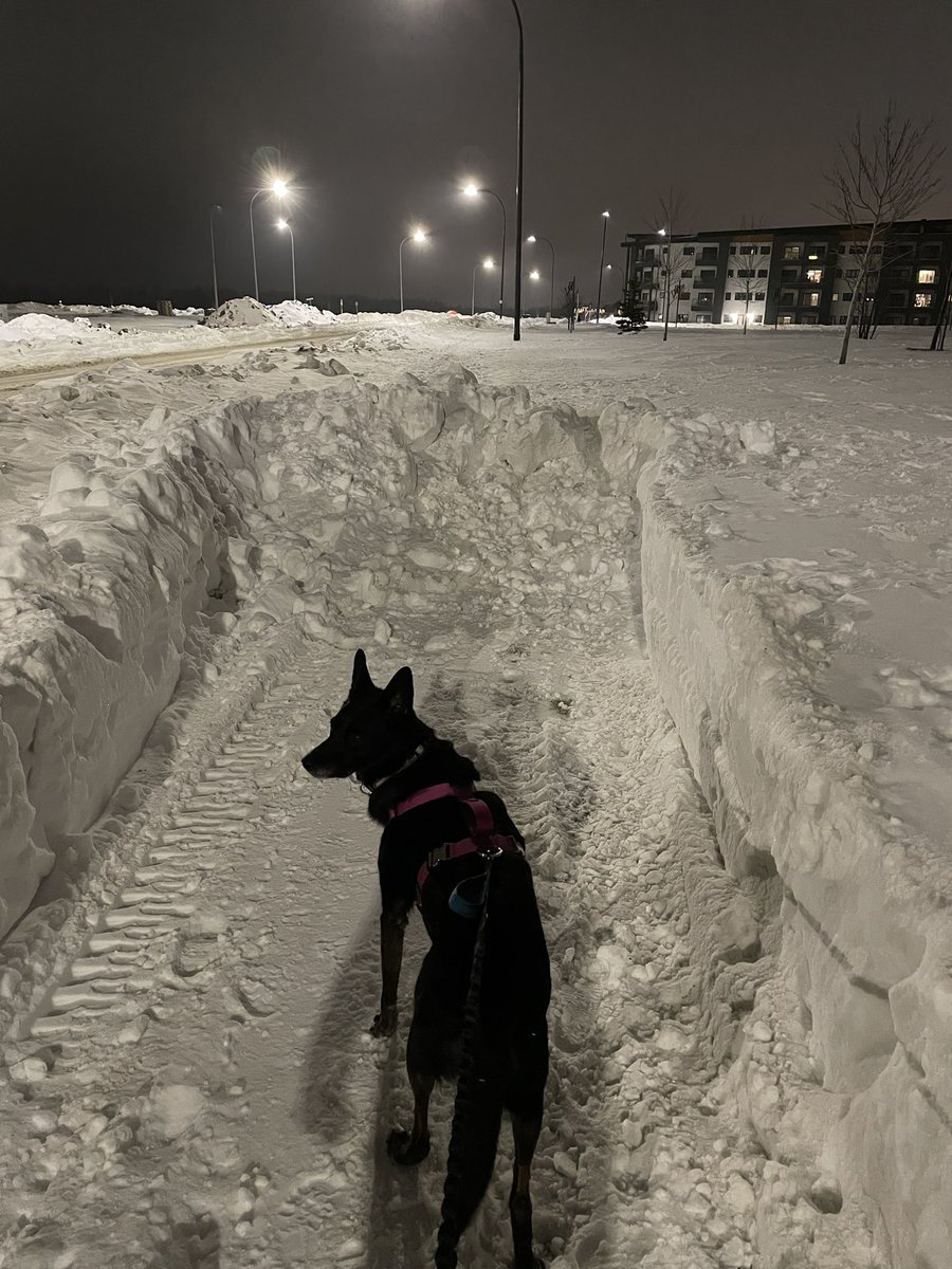 VisserJessica's tweet photo. @cityofwinnipeg what’s with this sidewalk clearing? Why does it stop 75% of the way down the street? On Warde Avenue I’m Bonavista. https://t.co/M0ugbT05pD