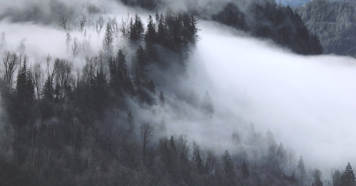 All the fog. #hopebc #fraservalley