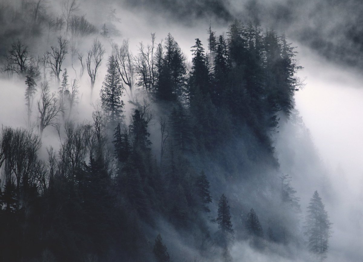 Brooke Haller tweet media