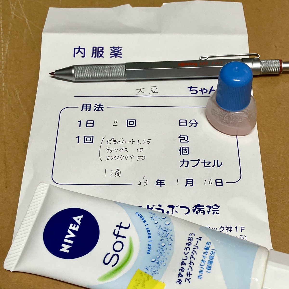 hamster_daizu's tweet photo. しばらく投稿お休みしてました。
大豆くんの体調が芳しくなく、今朝、病院に行ったら肺炎か心臓の病気かもとのこと。

細かい検査は体力の問題でやらない方向に。酸素吸入と投薬で様子を見ることに。

この一ヶ月ほどちょっとヨボヨボになってきたと思ってたら、急に動きが悪くなりました。

(続く) https://t.co/A9Ip4jsXmd