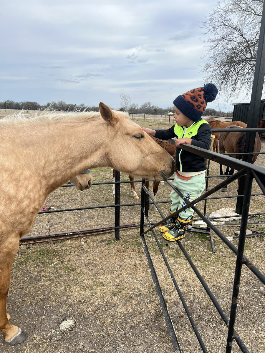 ErrolSpenceJr's tweet image. 