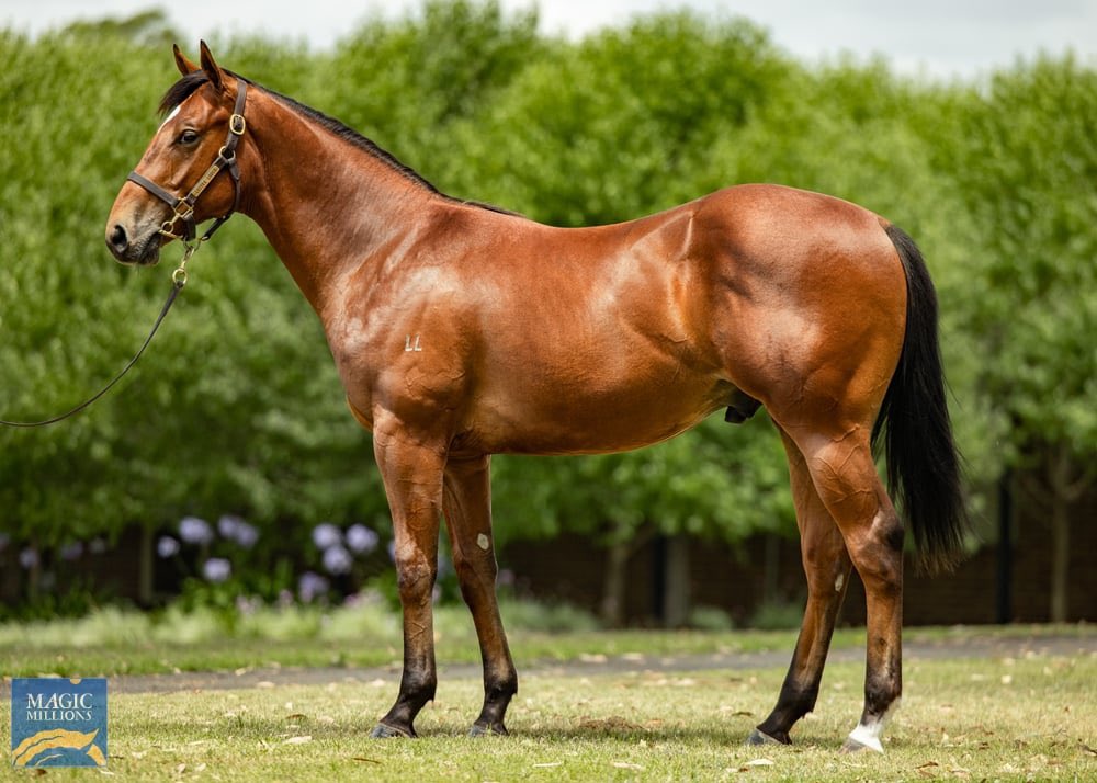 Arthur Hoyeau tweet media