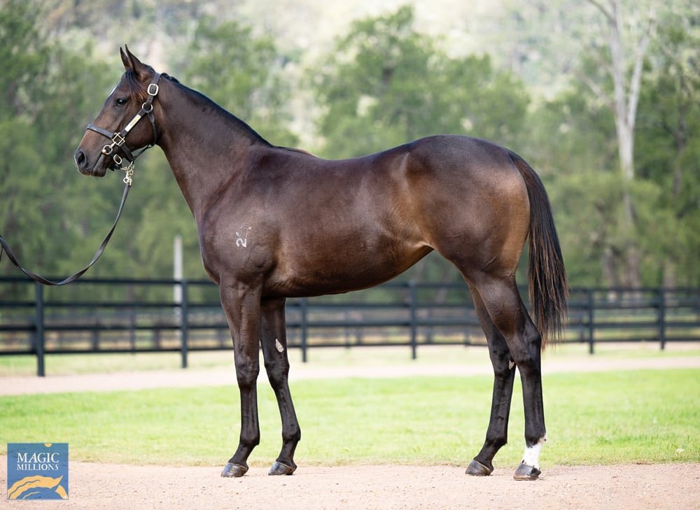 Arthur Hoyeau tweet media