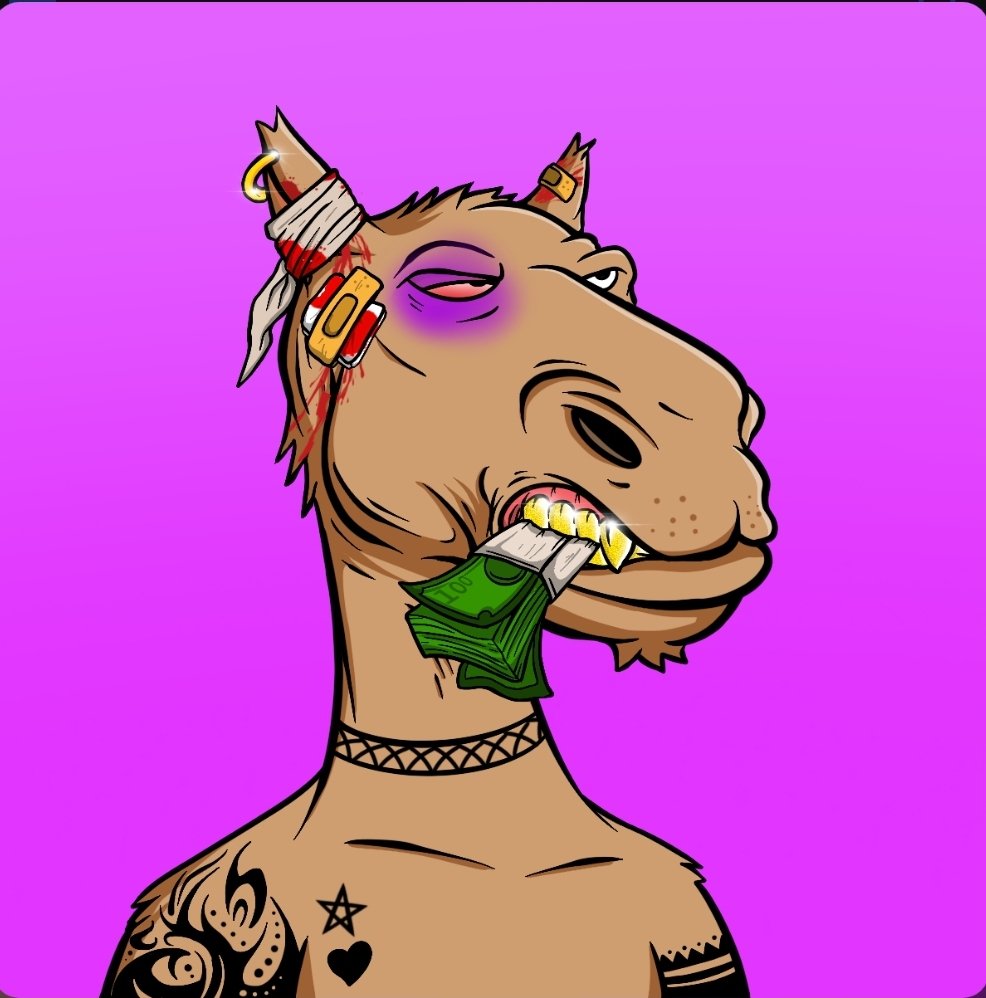Ce11ar_Dwe11er's tweet photo. @realstocknado @cameltoecan #TOEFAM #CAMELNFT #CRO #CROFAM
@sayer_tamara
@daytimeegg
@fran64212248 https://t.co/2xdzhrNFqR
