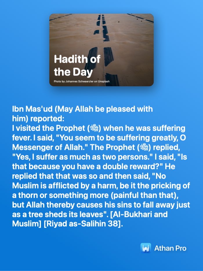 muhd shamsu haruna tweet media