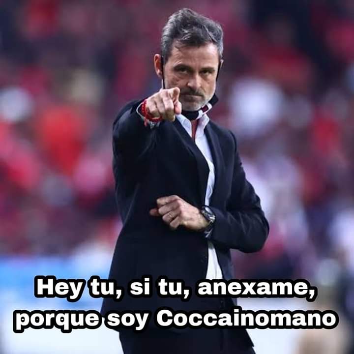 NACININCOMPARA1's tweet photo. @TigresOficial @nandogorriaran @Bitso https://t.co/GuBqTZXPNu