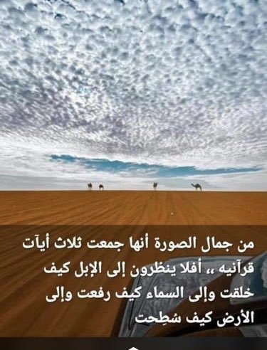rashidalmansoo1's tweet photo. https://t.co/ZMDlPmMzGf
