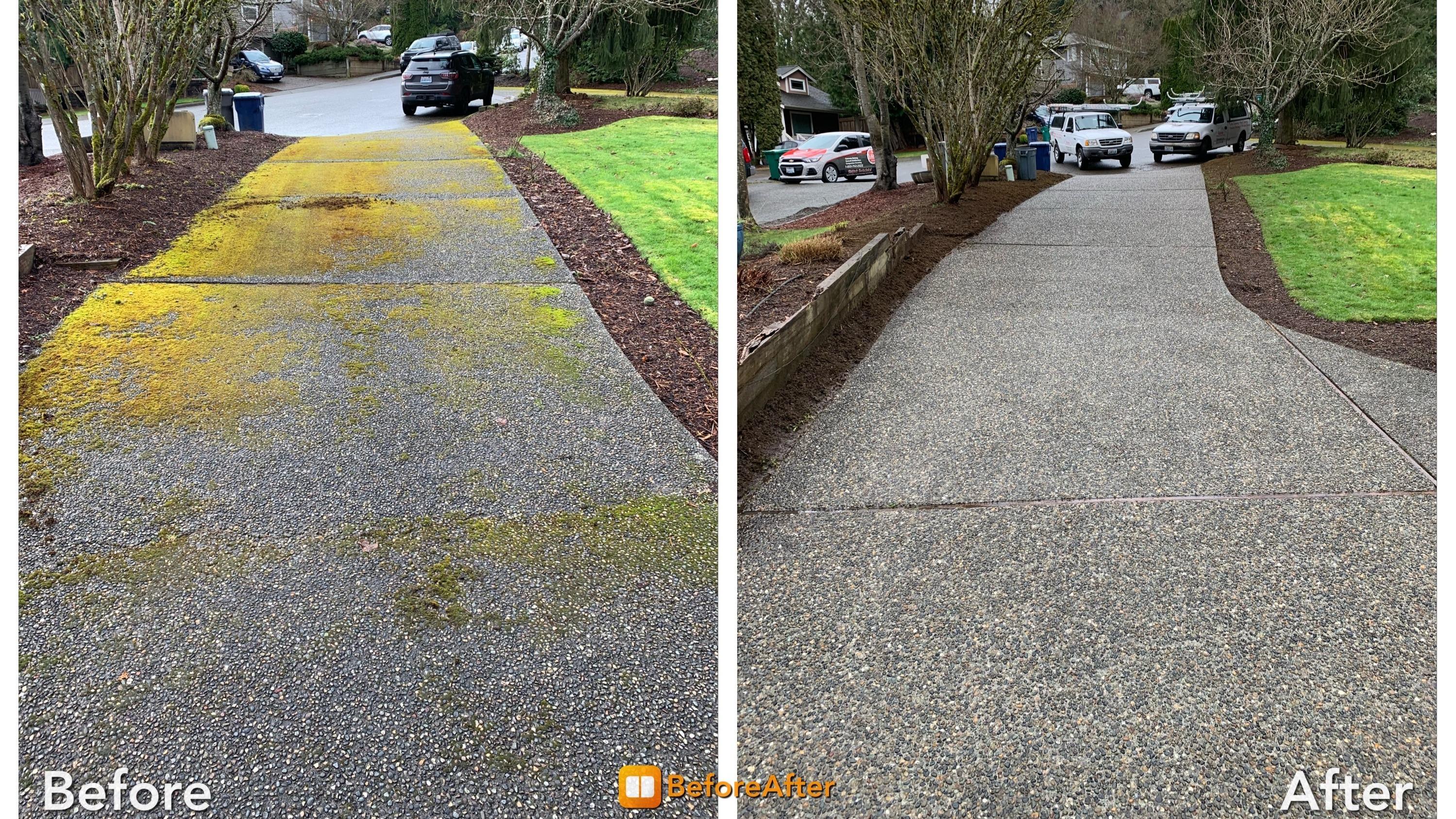 Rainier Window, Roof Moss, & Gutter Cleaning (rainiergutters) / Twitter