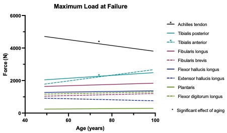 Sydney MSK (@sydneymsk) on Twitter photo Are we wasting donor tissue? 🚮
Don’t let age limit your allograft tendon selection for ACL reconstruction.
New work led by Dylan Ashton from <a href="/KollingINST/">Kolling Institute</a> found that 8 out of 9 different tendons don’t weaken with age <a href="/Sydney_Uni/">University of Sydney</a> <a href="/littlecb5001/">Christopher Little</a>
🔗 doi.org/10.1177/036354… Are we wasting donor tissue? 🚮
Don’t let age limit your allograft tendon selection for ACL reconstruction.
New work led by Dylan Ashton from <a href="/KollingINST/">Kolling Institute</a> found that 8 out of 9 different tendons don’t weaken with age <a href="/Sydney_Uni/">University of Sydney</a> <a href="/littlecb5001/">Christopher Little</a>
🔗 doi.org/10.1177/036354…