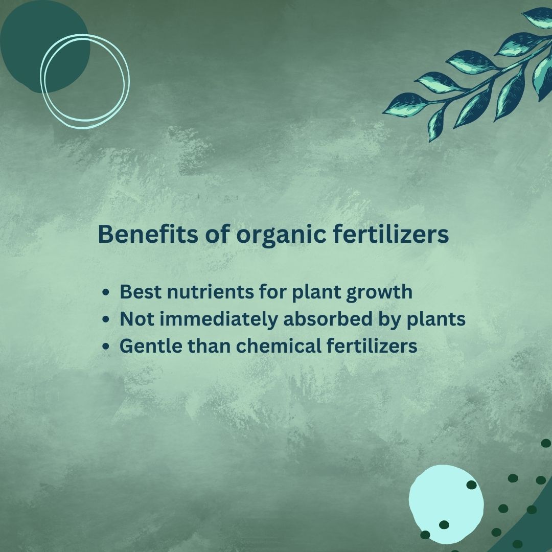 Benefits of organic fertilizers
.
.
.
#vashuramsinghanicase #vashuramsinghani #organicfertilizers #fertilizers #nutrients #fertilizerstypes