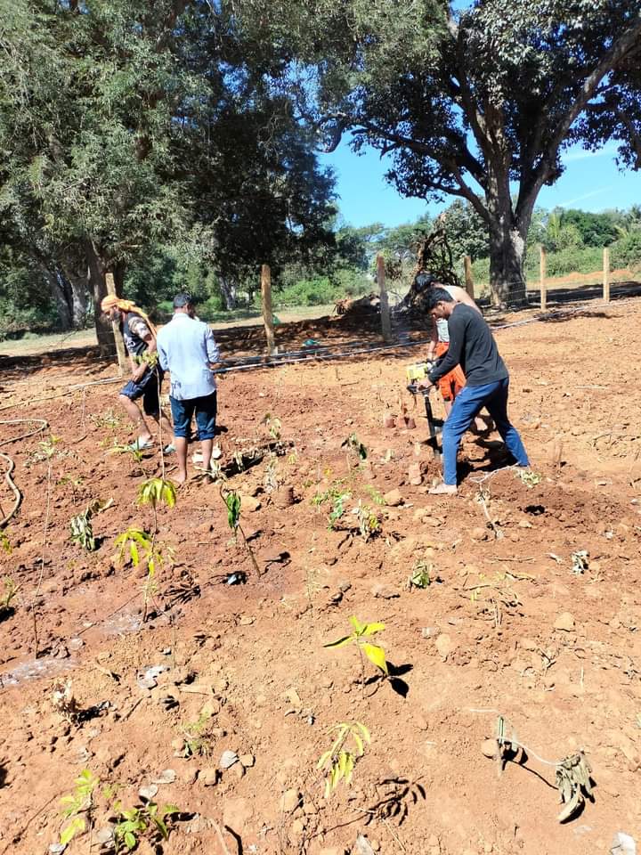 yuva_brigade's tweet photo. #Miyawaki #MiyawakiForests #GoGreen #GOI
#YuvaBrigade volunteers of Bangalore planted around 350+ saplings as part of Miyawaki forest cultivation at Anekal. The project is driven by Shakti Kendra Trust together with YuvaBrigade. https://t.co/UIQHTgQYWX