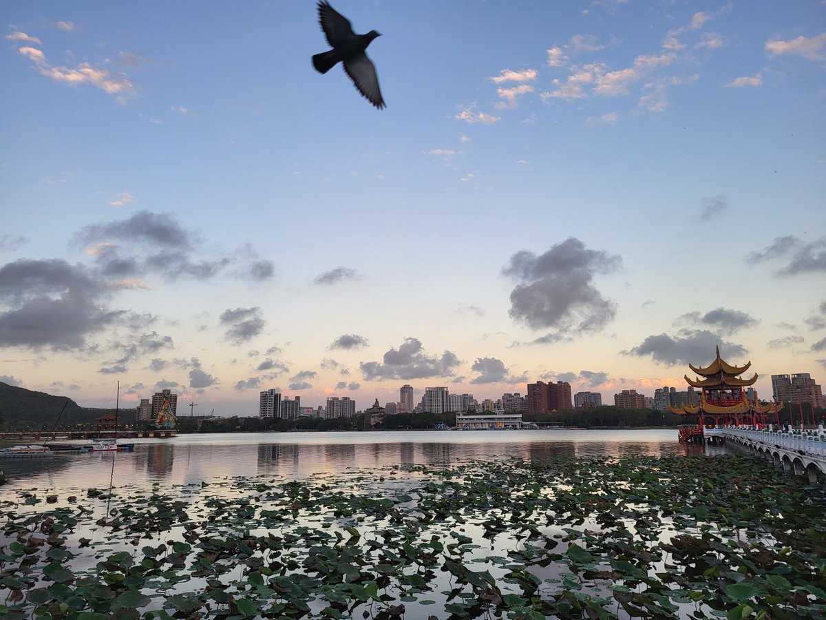 JerWeio's tweet photo. 假日的日常風景

前日彷彿初夏，除了太陽上下班時間比較短之外， 能見度也好，氣溫也高，蓮池潭也都是本地客在此散步，生活步調都是為了年節在做準備般

#蓮池潭  #春秋閣 #五里亭 #日常 #高雄景點 #黃昏 #夕陽

#kaohsiungbravo

#s21fe  #leica15mm #em5markii https://t.co/lsbAW6FTEq