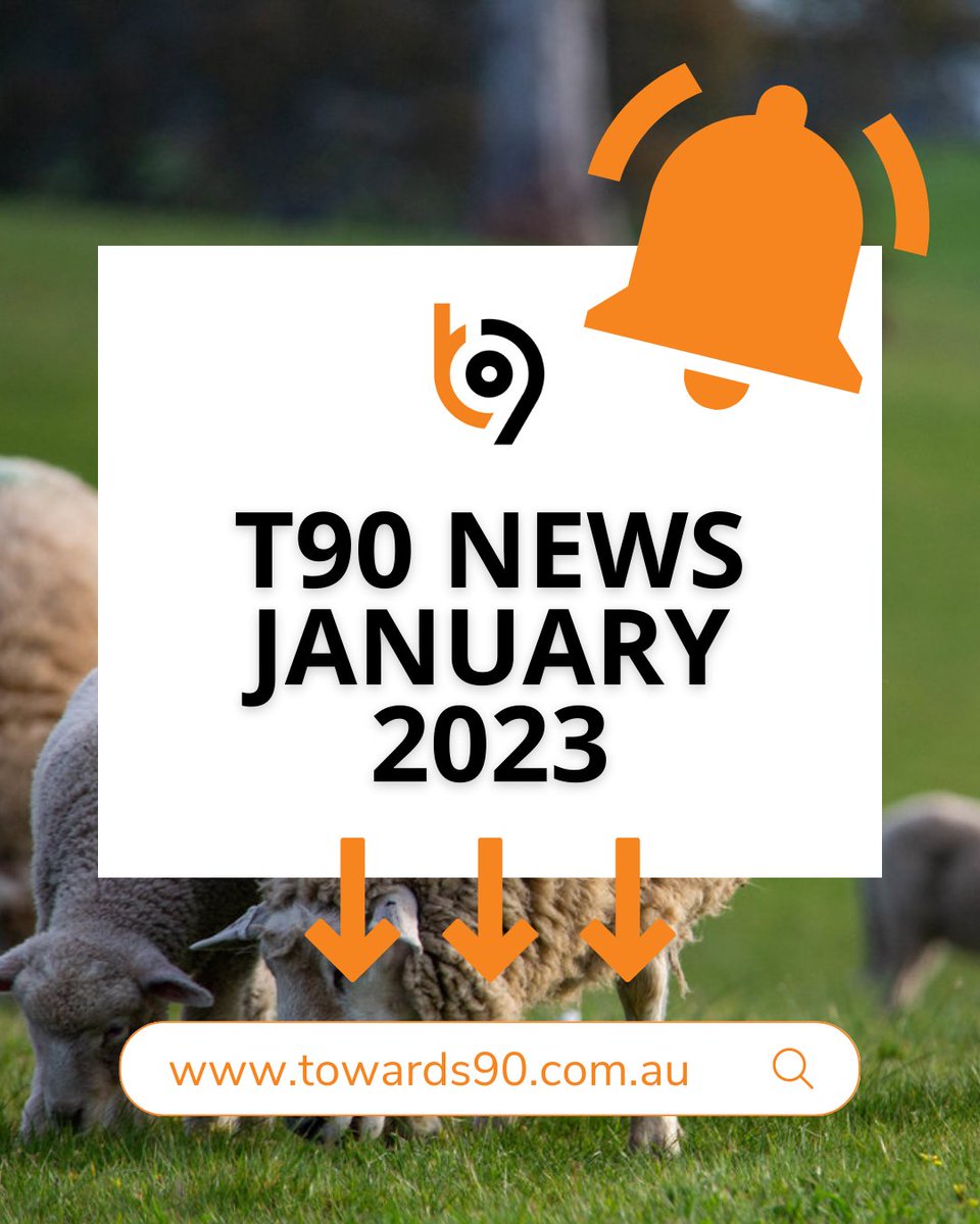T90Program's tweet photo. We are back with our first T90 News Update for 2023!
The T90 Office hopes everyone had a good Christmas & New Year. We are kicking off the year with some very exciting events so be sure to take a look at the T90 Jan 2023 News: https://t.co/BJXgu06m5e #Towards90 #SheepReproduction https://t.co/snuVH4p1m9