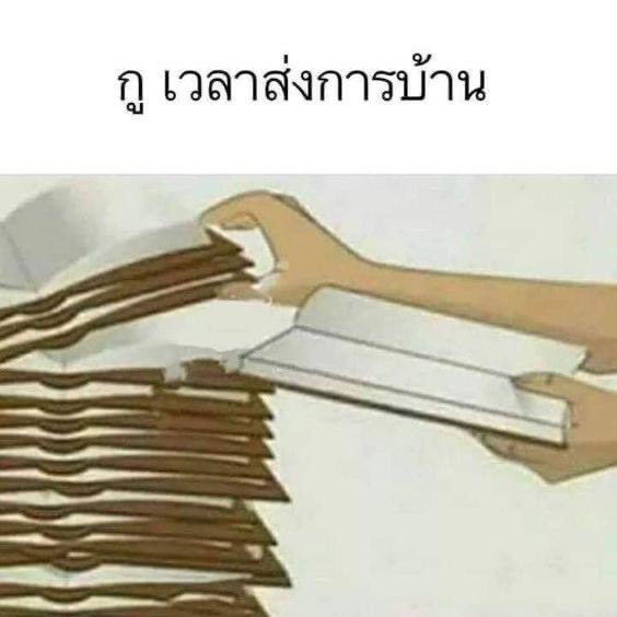 sutiฯ tweet media