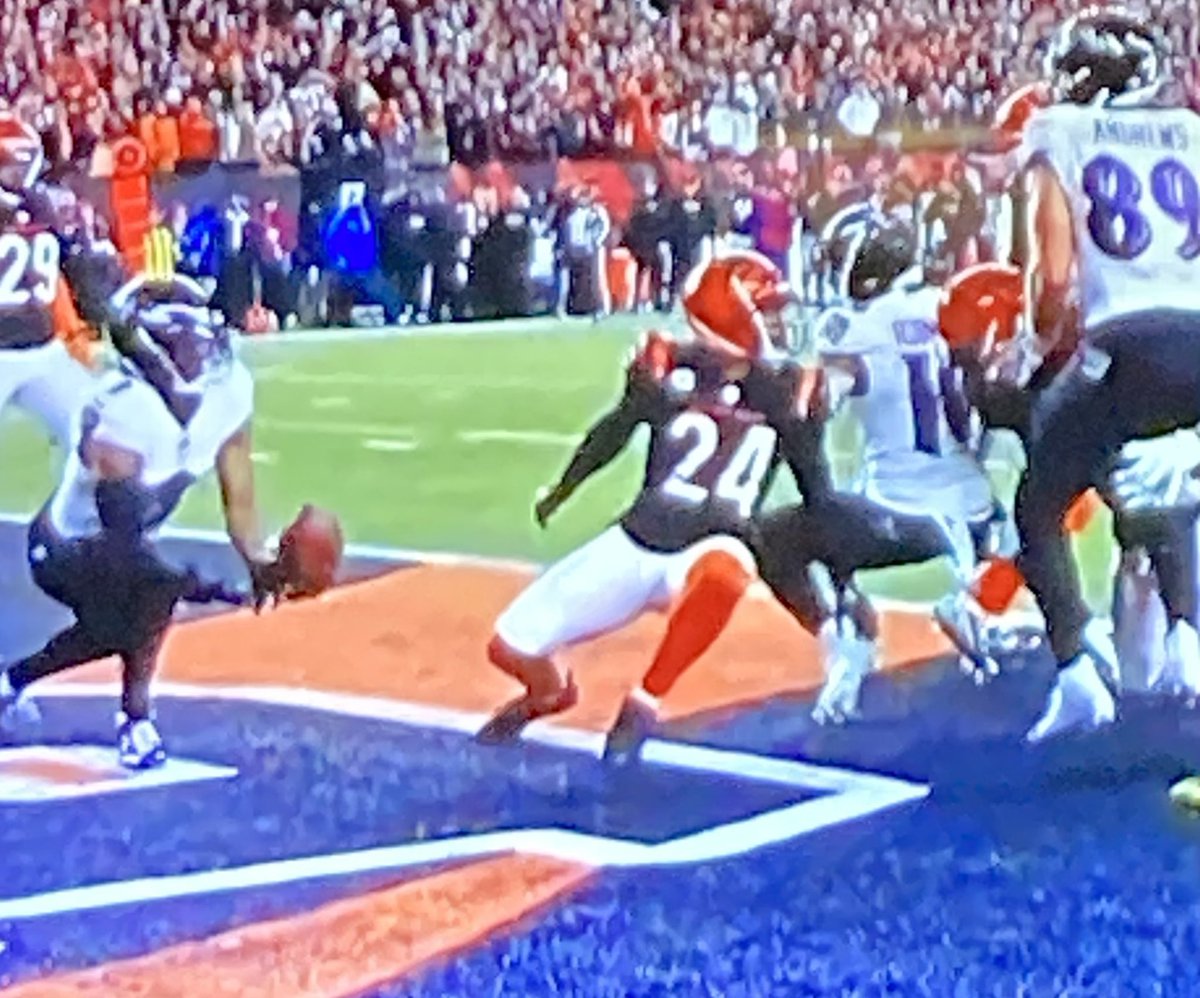 coach_heav's tweet image. #gameofinches