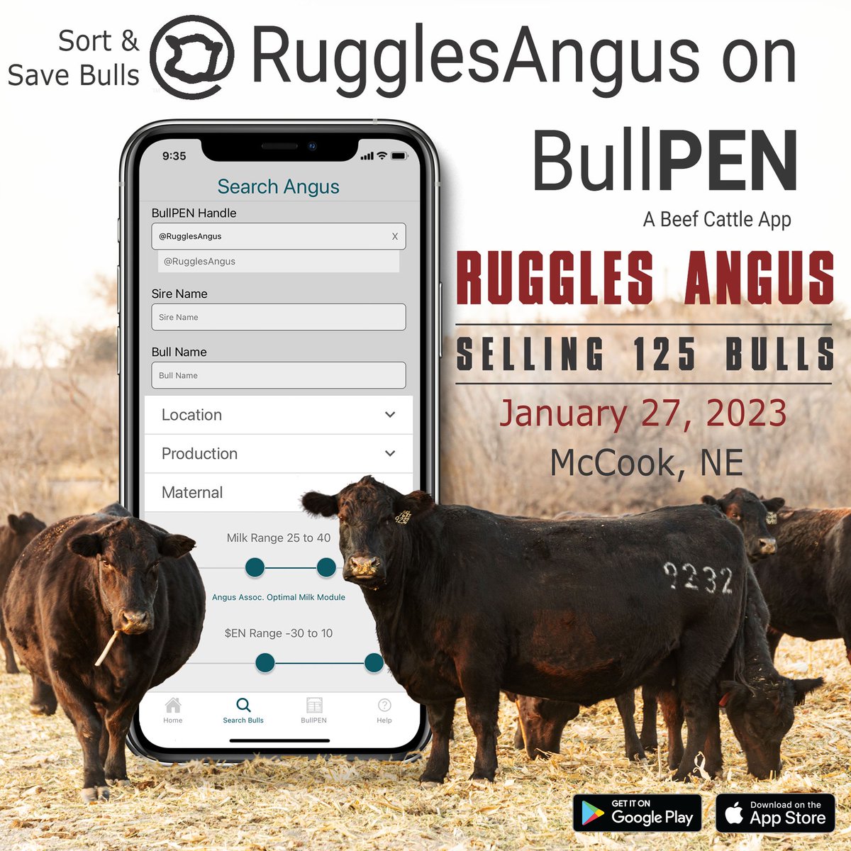 getpenned's tweet photo. 📍#Ruggles Angus 2023 #bull sale <<Jan. 27 ~ McCook, NE>>  

You won't have trouble sorting out some cow makers to save on BullPEN => Get the app at https://t.co/94i23z7al1

#bullpenangus #bullpenapp #businessbreed #anguscattle #agtech #agtwitter https://t.co/g7exVnFCgm