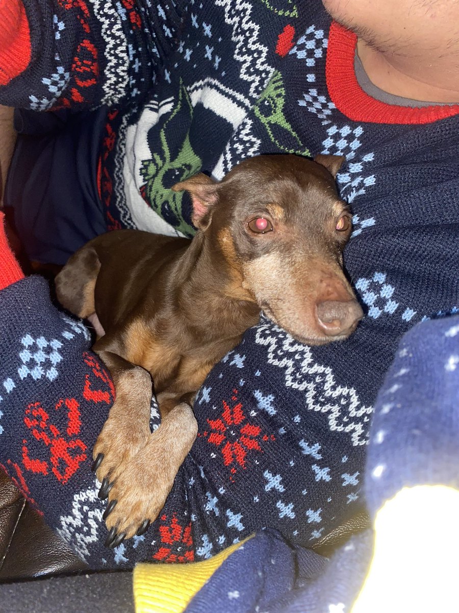 Sleepyytimanator tweet media