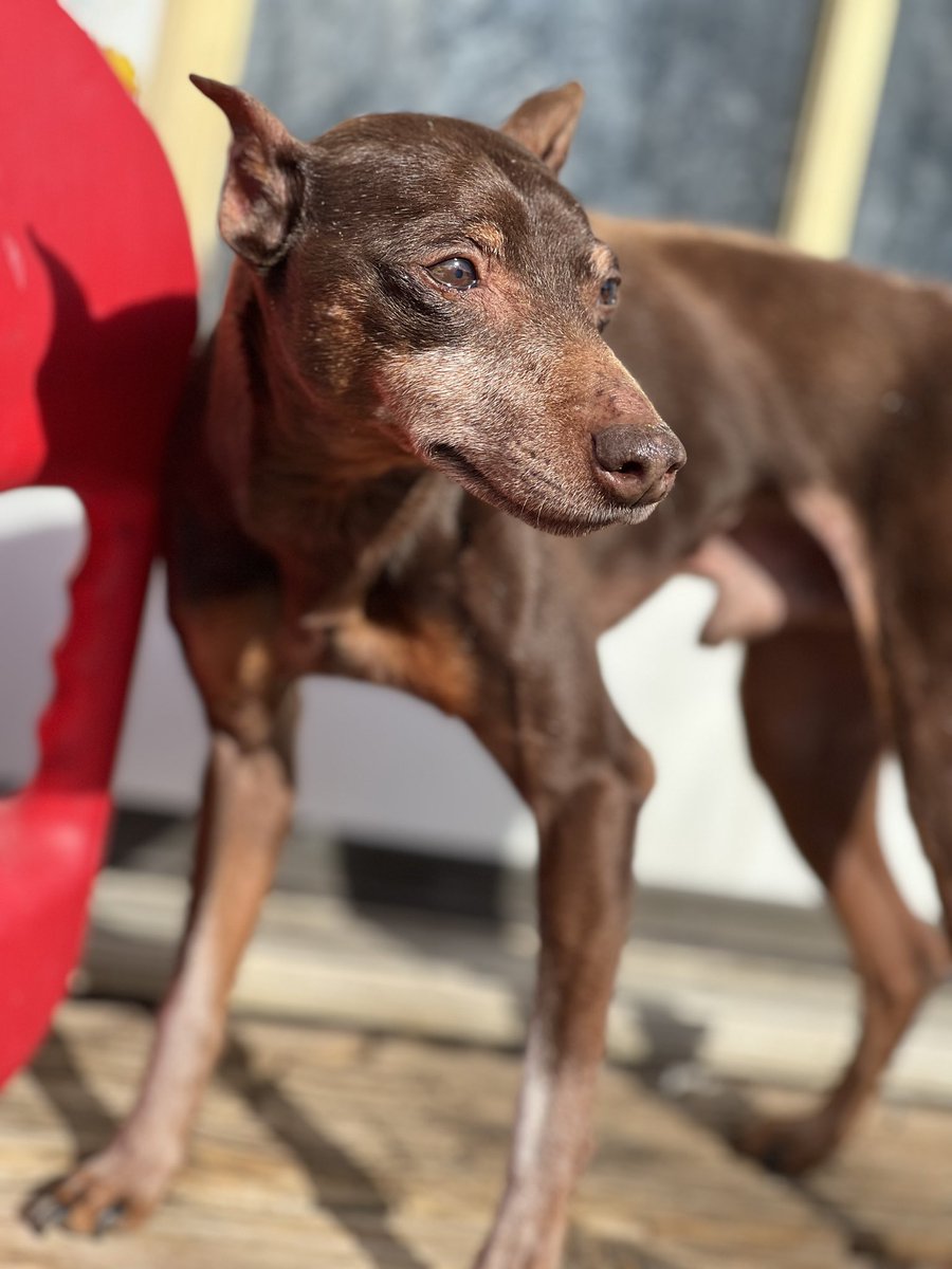 Sleepyytimanator tweet media