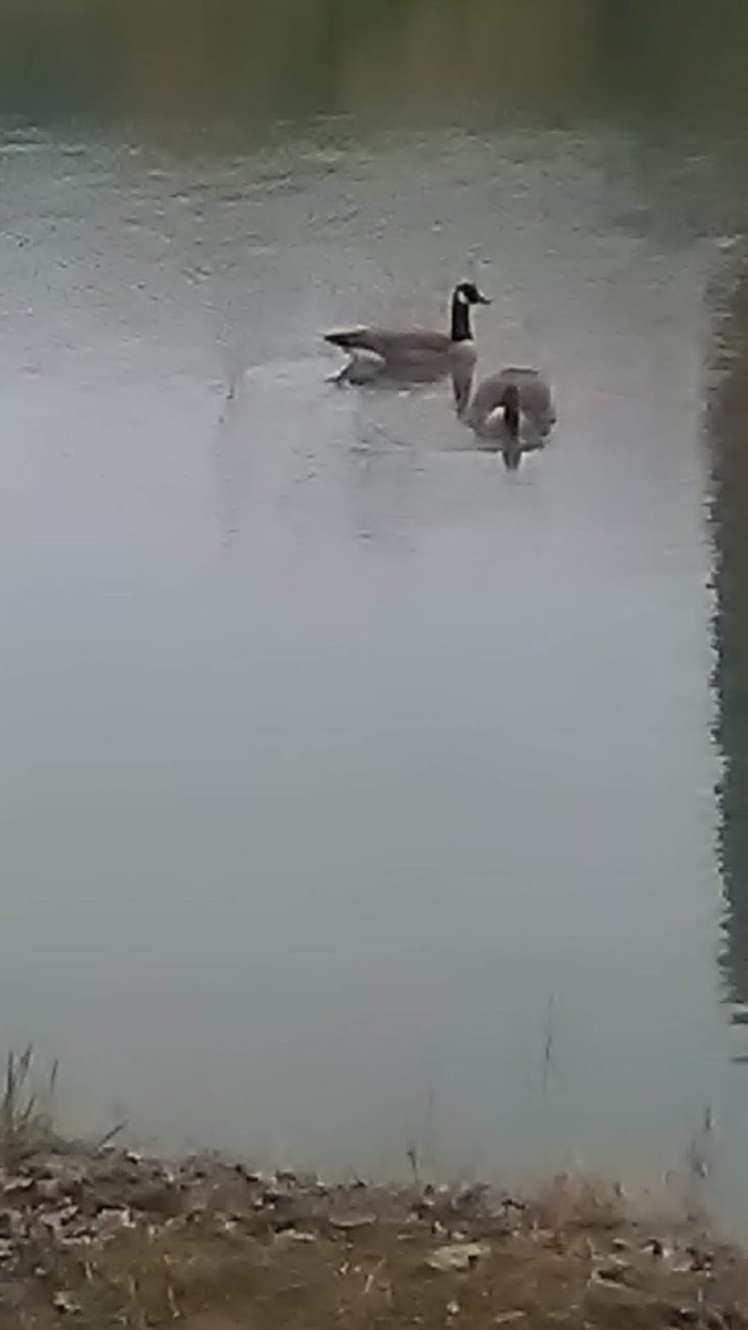 EverydayParks's tweet image. Morehead City Park Complex
Morehead, Kentucky
4.4/5 stars (231 ratings)
#Morehead #Kentucky