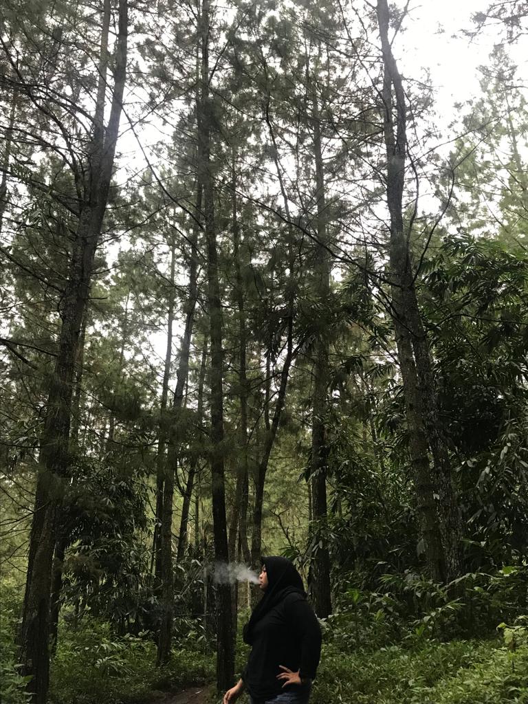 Sxxvds2's tweet photo. Cuman disini nih. Aku curhat gak wedi ketemon bapak emak. Ekwk https://t.co/T5HAIudSbN