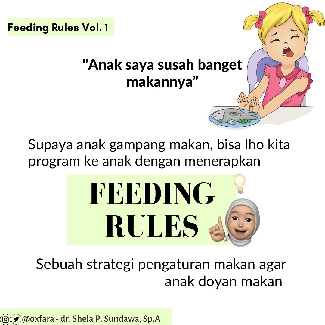 Ayah Ibu, ada ga yg anaknya punya masalah makan? Ga doyan makan, lbh suka makan jajan daripada makan pokok? Nah, yuk kenalan dan mulai menerapkan feeding rules ke bocil yang ada di rumah