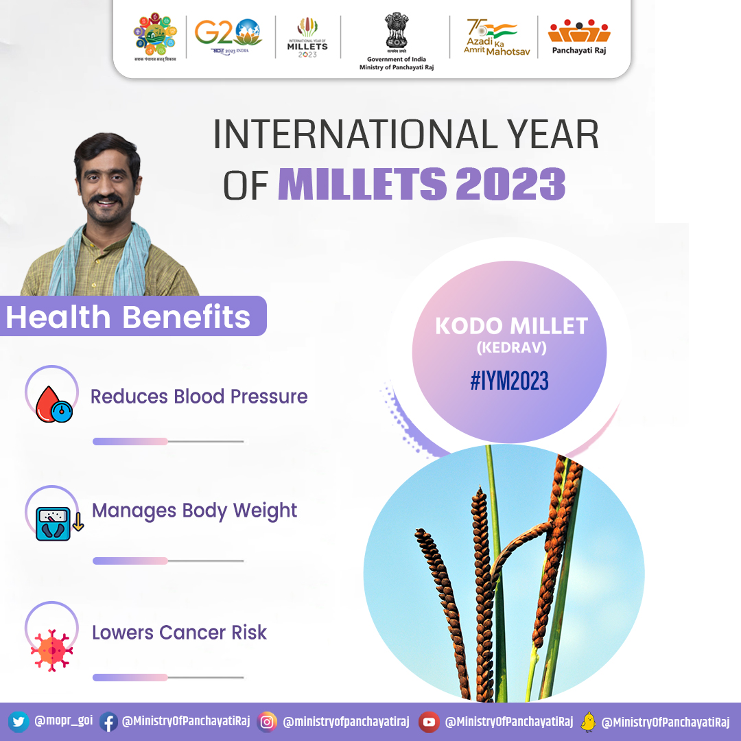 mopr_goi's tweet image. #Kodo millet, also famous as #Kedrav is amongst the most digestible clan of millets. It is proved to be excellent in strengthening the nervous system. Rich in all the essential minerals and vitamins, Kedrav becomes a staple food for people since ages.