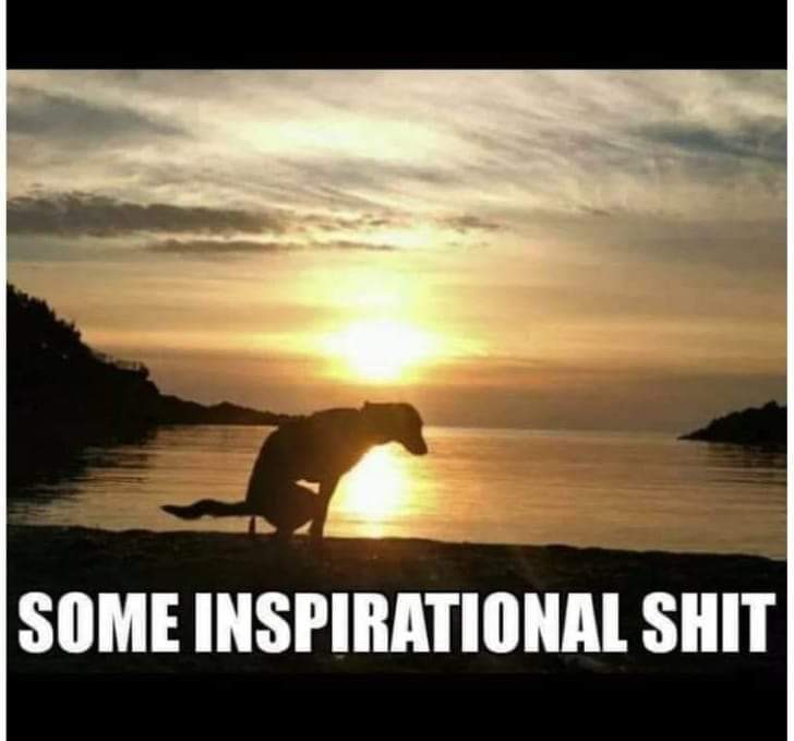 whiskeymale's tweet photo. It's Monday.... here's some inspirational shit. https://t.co/IguHP1gOuf
