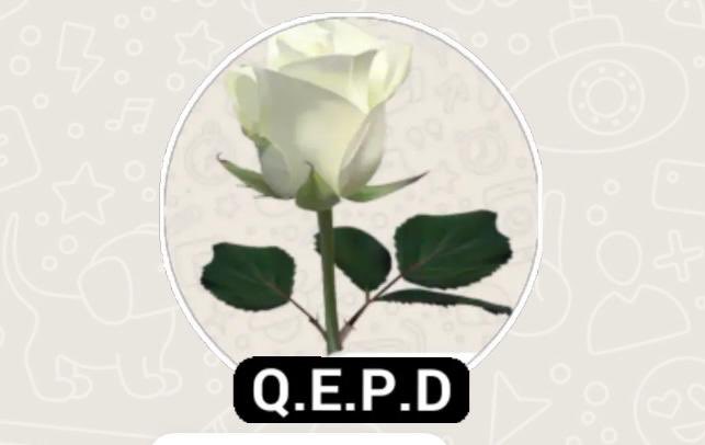 lacy_aida's tweet photo. Mi más sentido pésame a la familia Shwarzbeck Noriega rezo por que su corazón esté en calma y por que encuentren consuelo ante esta gran pérdida de nuestro Cuate Fredy. Estoy con ustedes en este momento tan difícil y siempre.
Un abrazo y todo mi cariño. https://t.co/ybZxEzhRNI