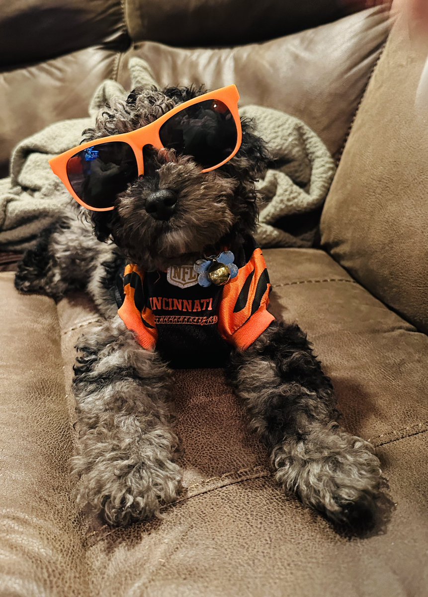 kyliejo's tweet photo. @WLWT Marty is all about the Bengals. #BengalsVsRavens #JoeBurrow #mixon #cincinnatibengals #whodey https://t.co/pYVfCTMOCQ