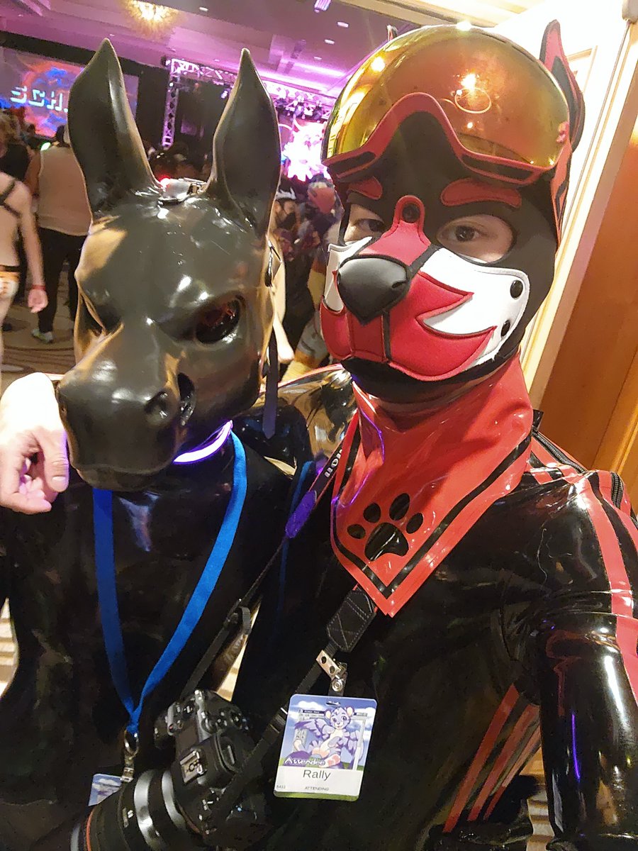 Pup Rally, MIR Photographer on Twitter: 